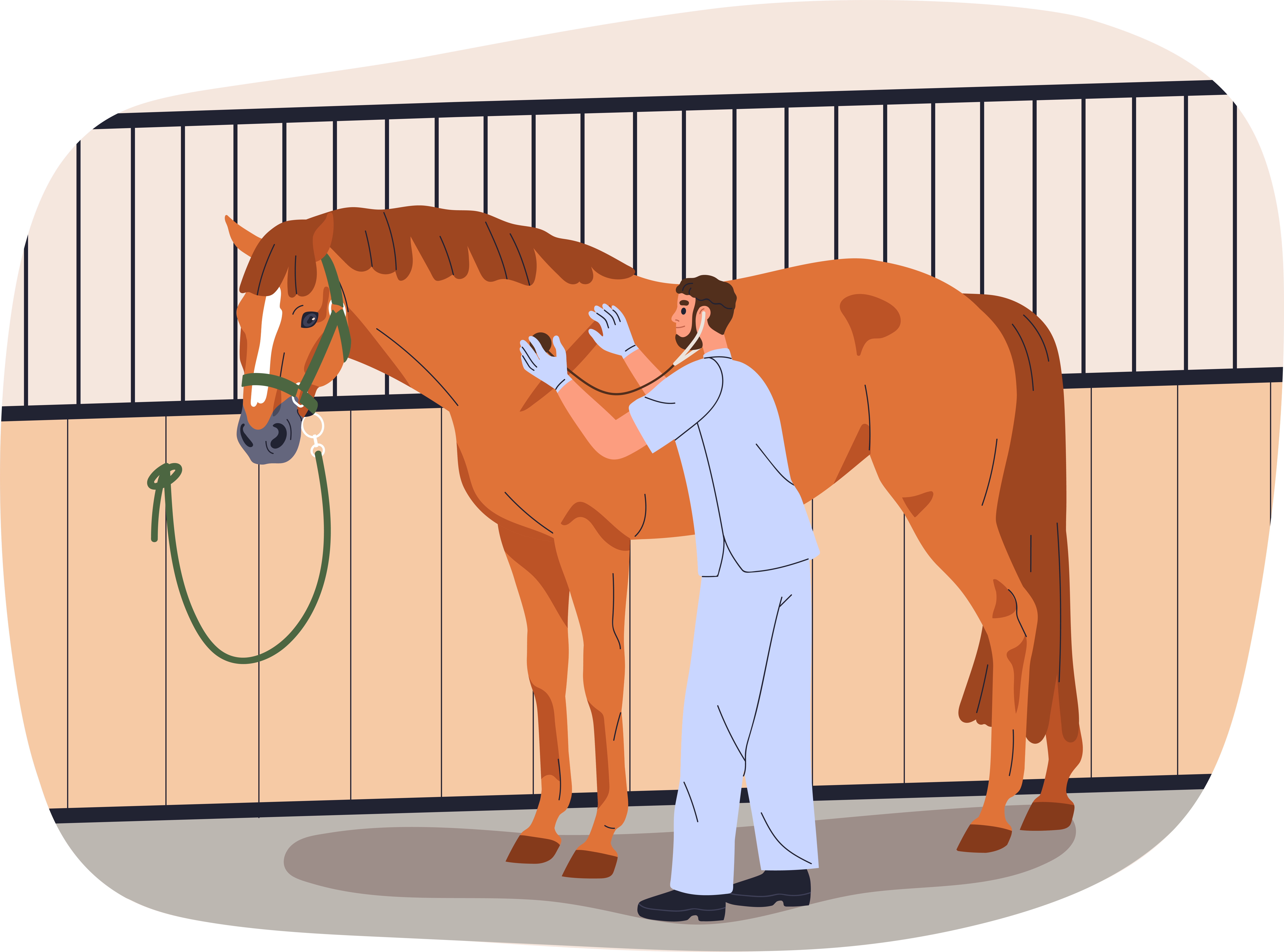 Equine Care Services